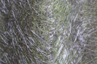 Mountpleasant fibreglass roof work