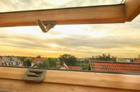 rated Mountpleasant roof window companies